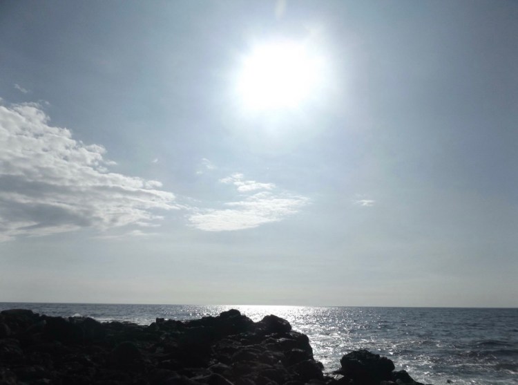 BB5457D3-3926-4A7B-8639-A23B3EB22322